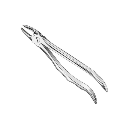 Extracting forceps, engl